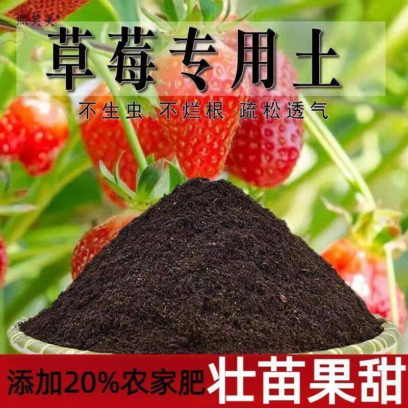 草莓专用营养士种植土养花营养土家用阳台盆栽泥土大号草莓基质土