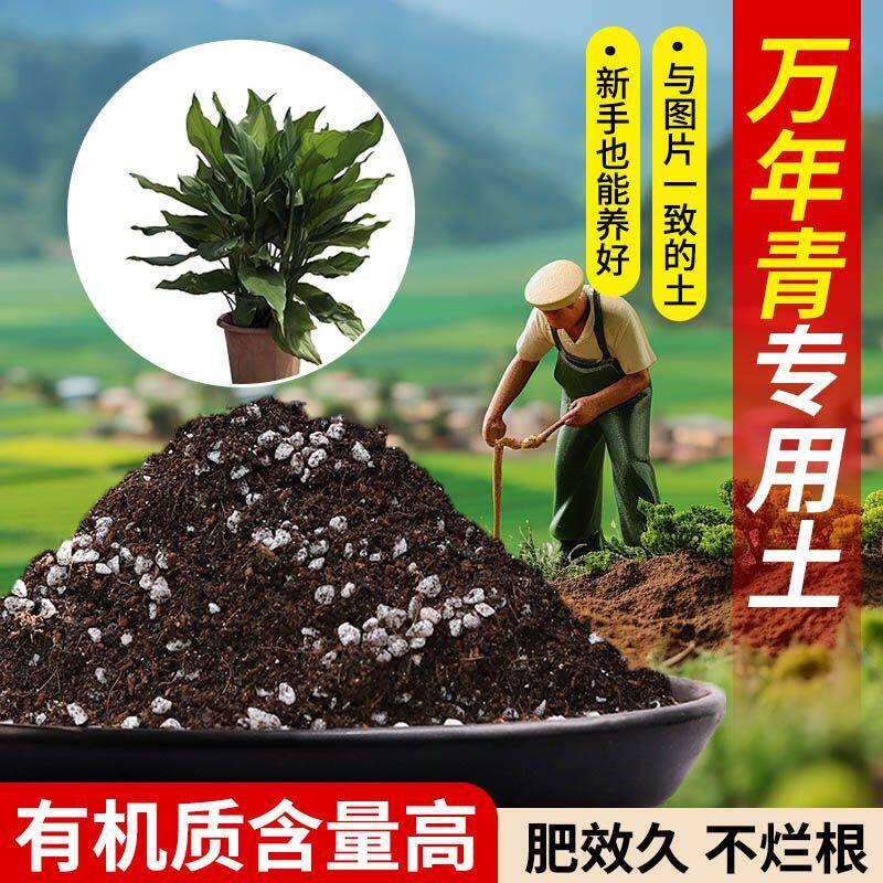 万年青疏松透气营养土含泥炭肥料通用有机种植土轻质土壤专用土