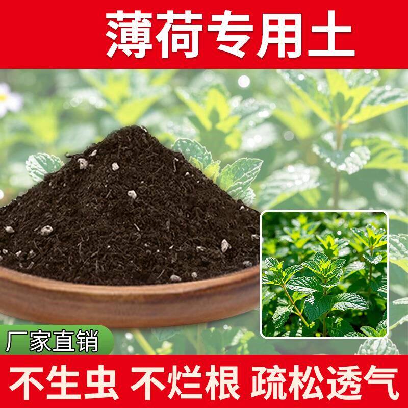 薄荷专用土疏松盆栽专用土土壤发酵育苗花土多肉土种菜土椰砖花园