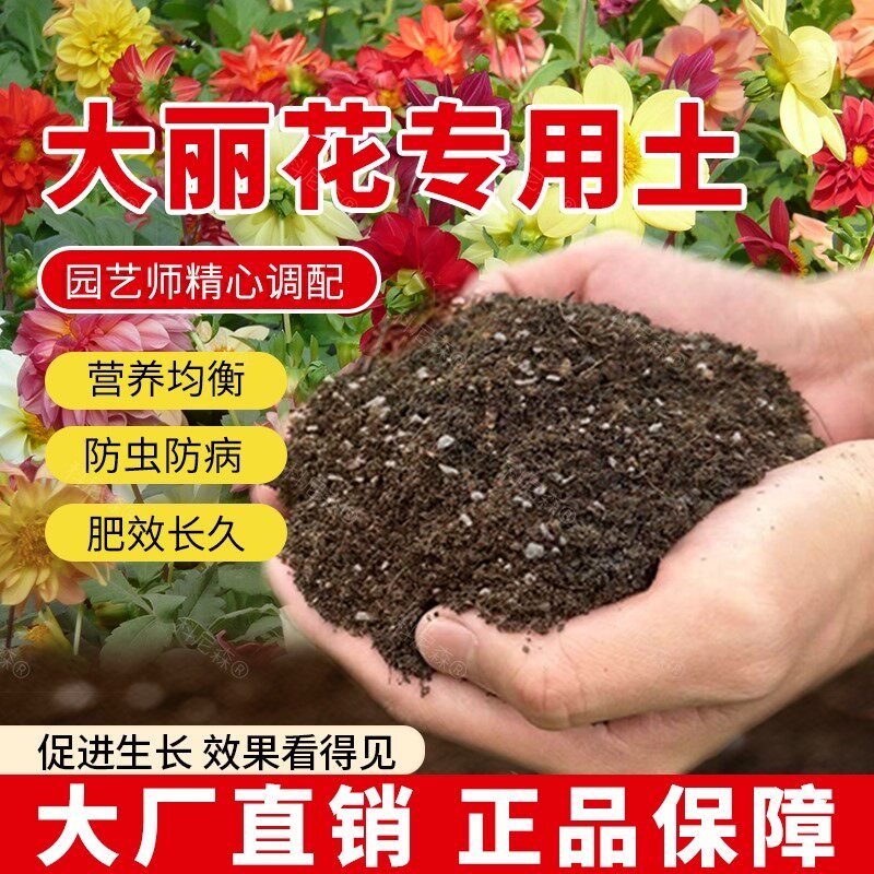 大丽花专用土肥料绿植室内花盆蓬松家庭花草大丽花营养土透气天然