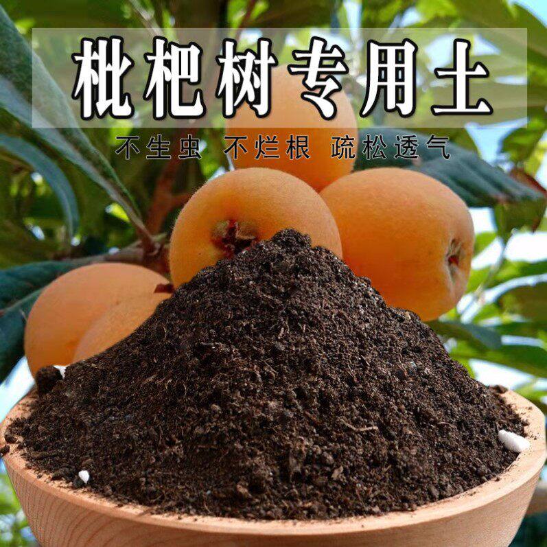 枇杷树专用土枇杷树专用营养土盆栽土农业种植土育苗有机土壤肥料