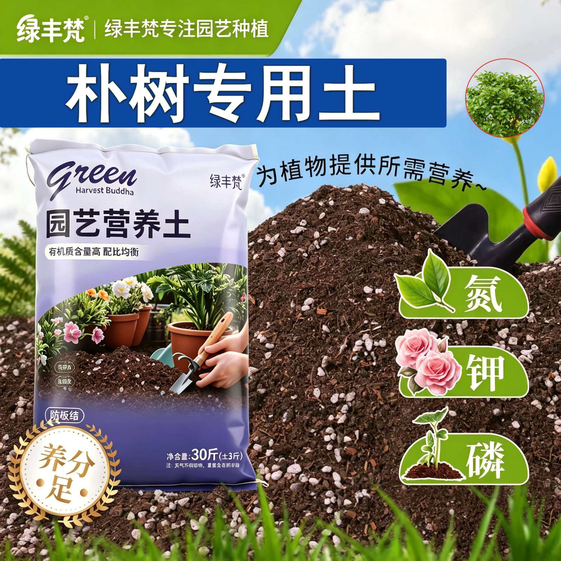 朴树专用营养土防烂根不板结菜园包邮有机壮根多肉优质加珍珠岩