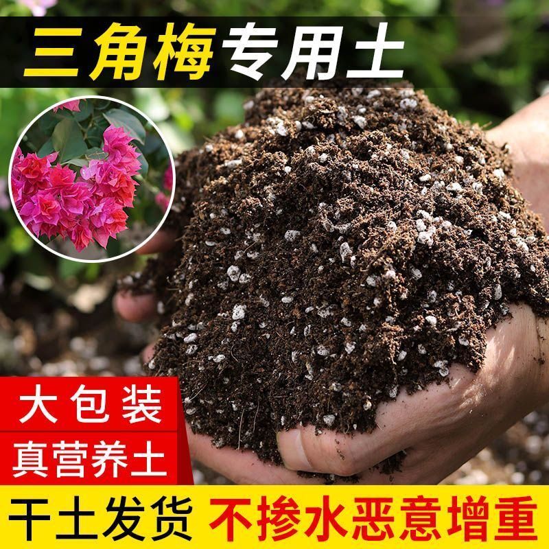 三角梅专用营养土盆栽土种植土透气花土阳台种花土养花土花卉土壤