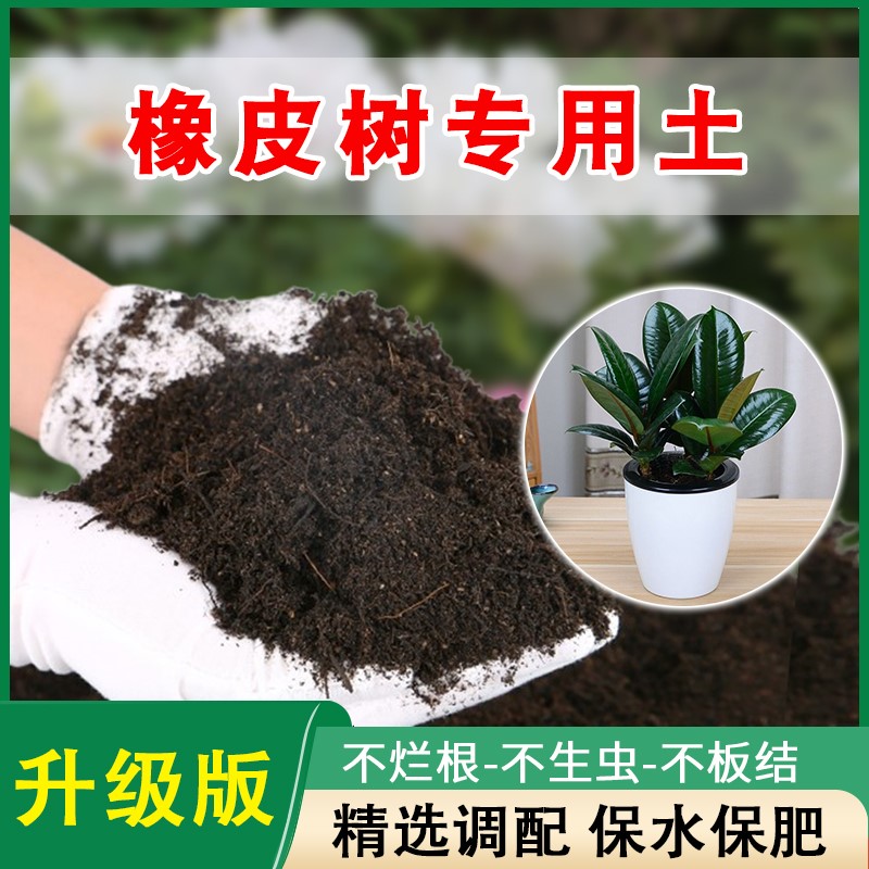 橡皮树专用土家庭盆栽营养土通用土园艺养花绿植精选有机肥料土壤