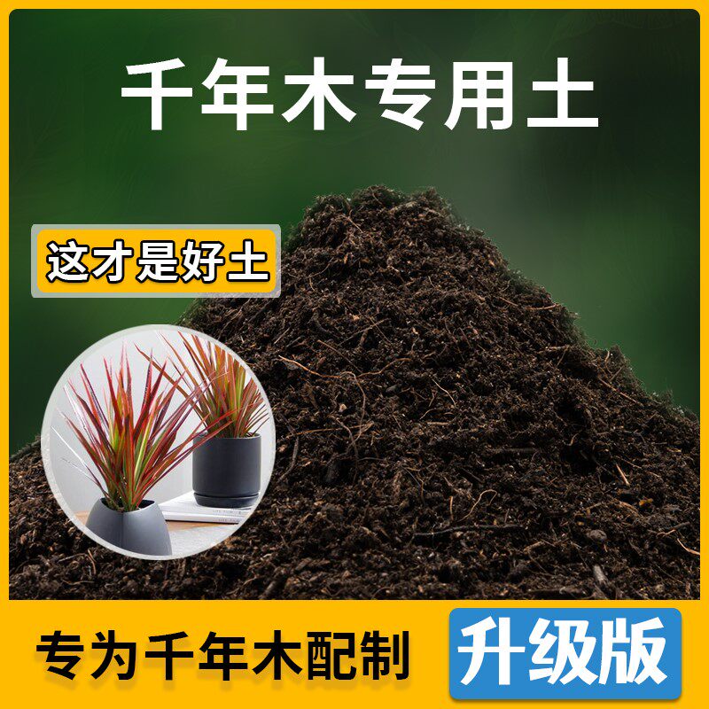 千年木专用土家用种植土千年木营养土盆栽种花养花有机土肥料包邮