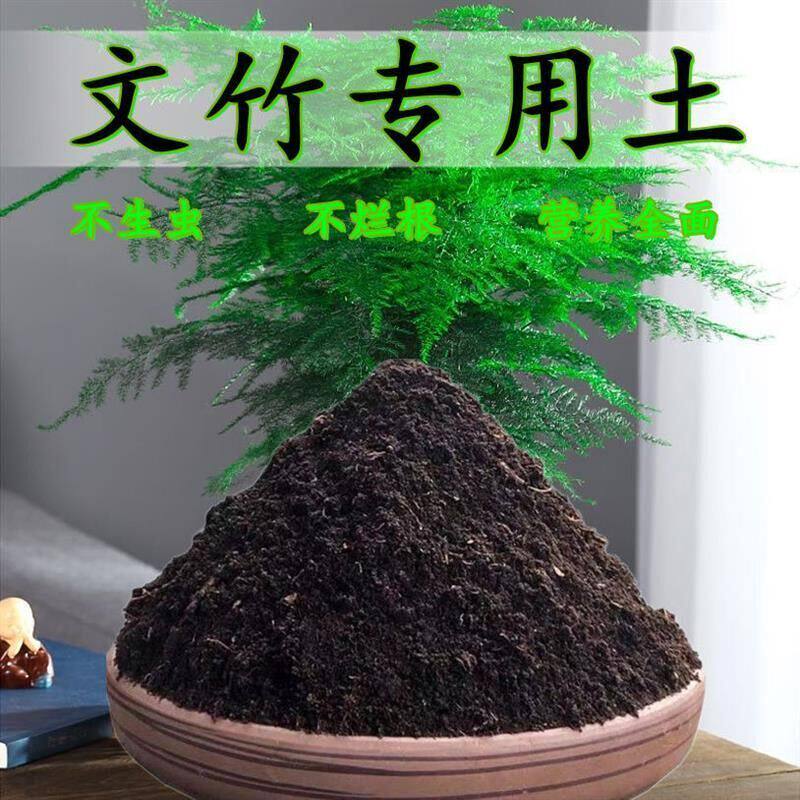 文竹专用土文竹营养土盆栽有机肥料种花泥土营养全面土壤养花种植