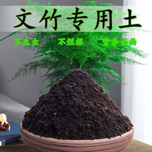 文竹专用土文竹营养土盆栽有机肥料种花泥土营养全面土壤养花种植