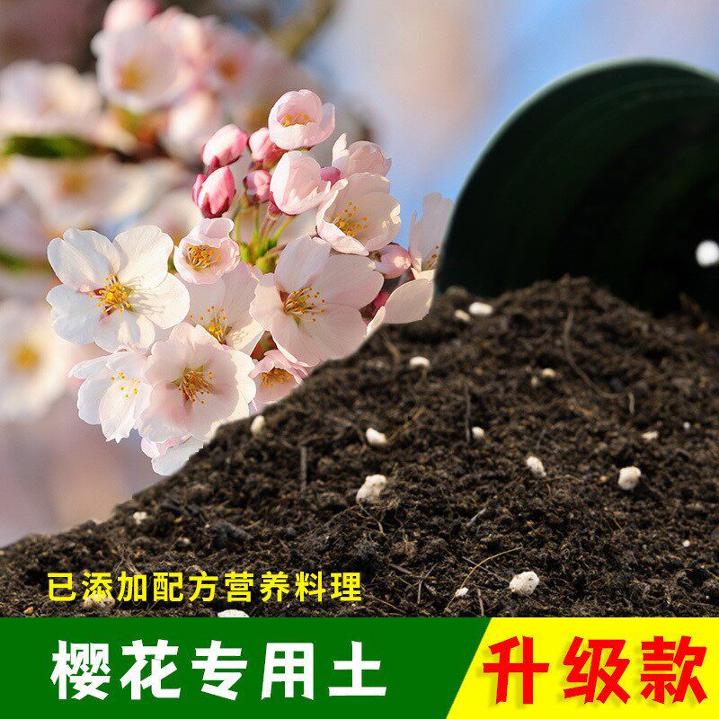 樱花专用土有机土肥料家用种植土樱花营养土盆栽养花通用土壤包邮