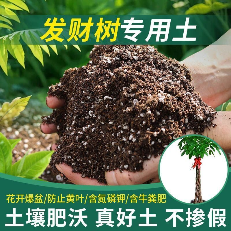 发财树专用土发财树营养土盆栽土花卉种植土室内种花土养花土肥料