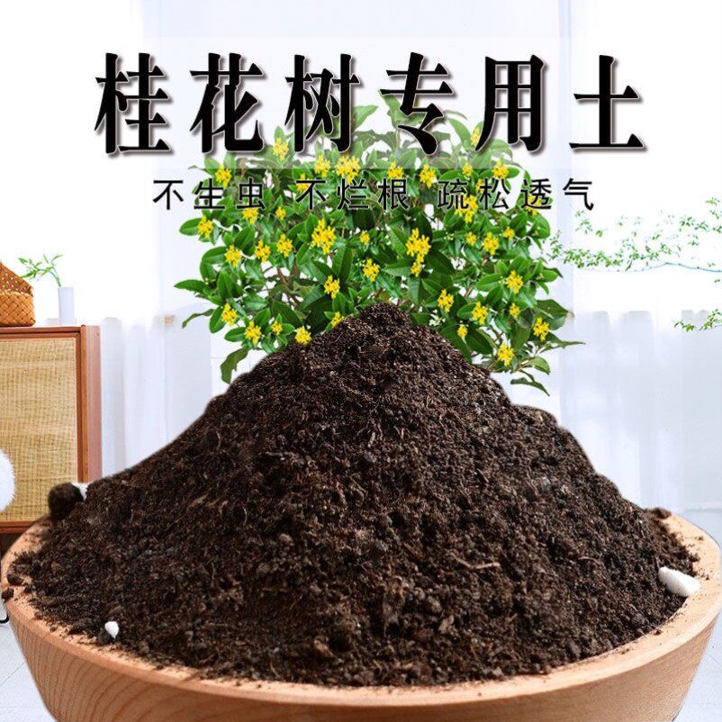 桂花专用土桂花专用营养土透气疏松养花盆栽土绿植花土土壤植物土