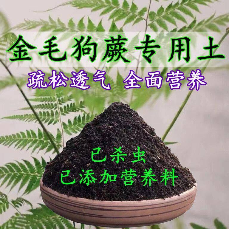 金毛狗蕨专用土蕨类土盆栽营养土酸性沙质泥炭土壤绿植种植土肥料