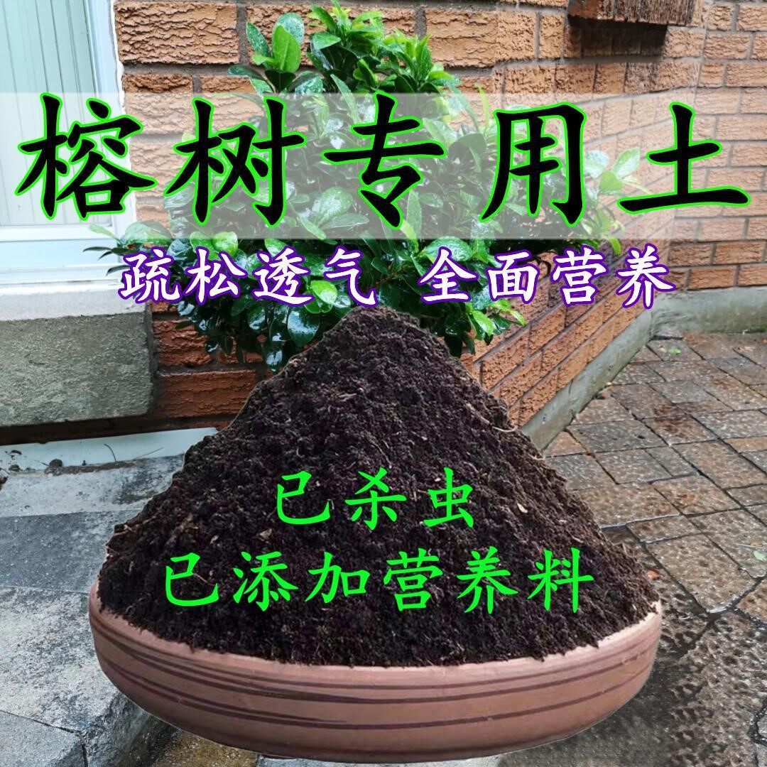 榕树专用土人参榕专用营养土盆栽养花种花土通用型种植土酸性土壤