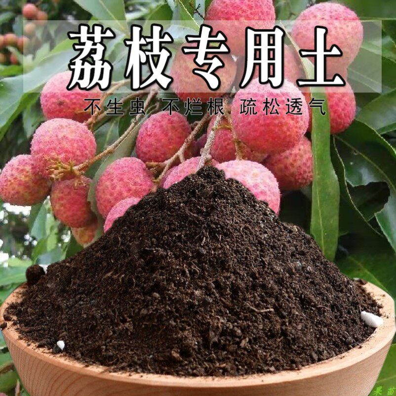 荔枝专用土荔枝树专用营养土妃子笑盆栽果树土种植肥料土壤肥料