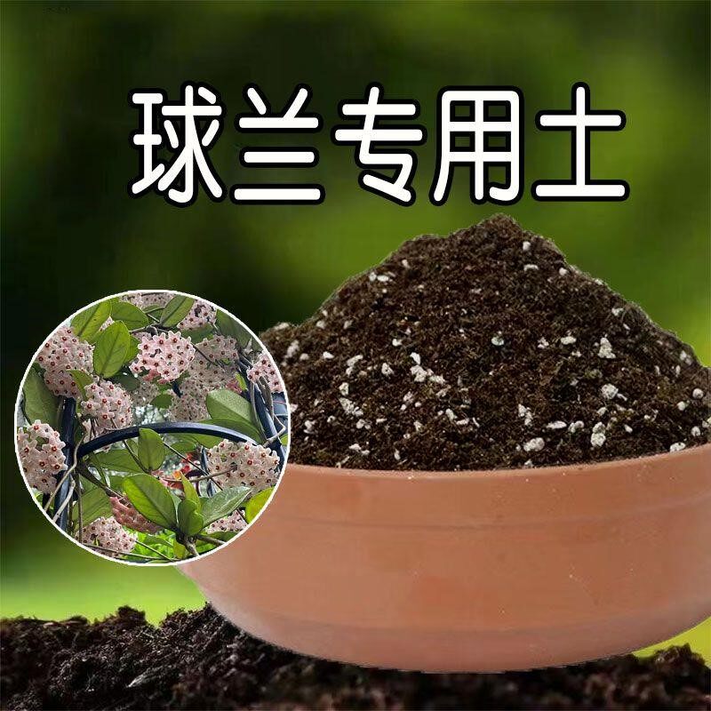 球兰专用土兰花营养土养花专用腐殖土阳台盆栽土花卉种花土壤肥料