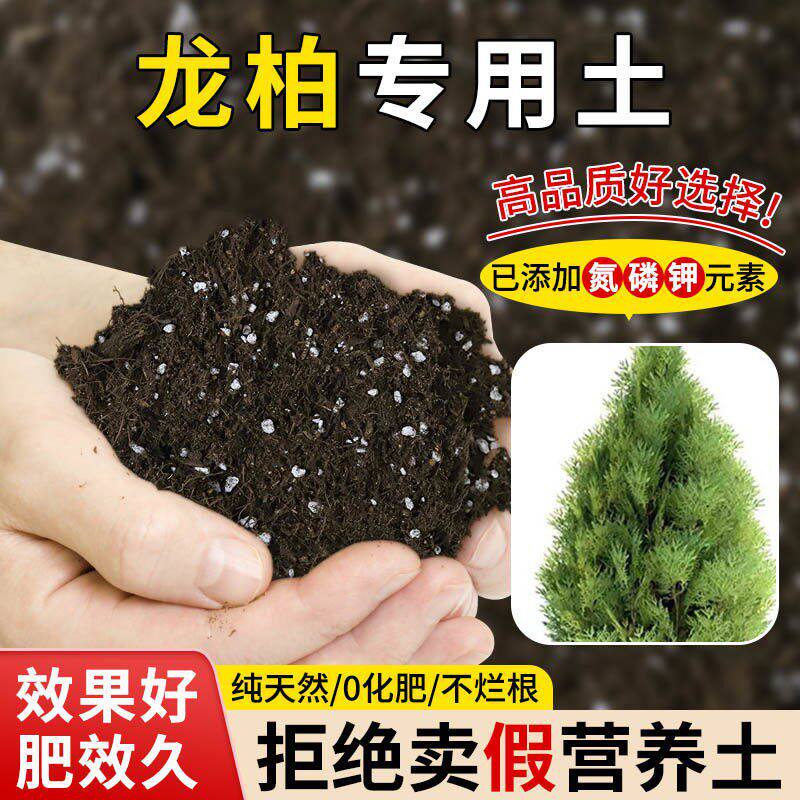 龙柏专用营养土疏松透气含泥炭肥料通用有机种植土适用土轻质土壤