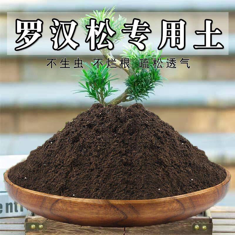 罗汉松专用土罗汉松土盆栽营养土通用种花养花泥土壤种植土有机肥