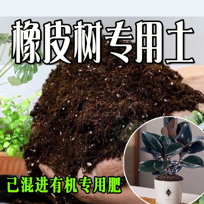 橡皮树专用土 橡皮树专用营养土 盆栽养花种花土通用种植土壤肥料