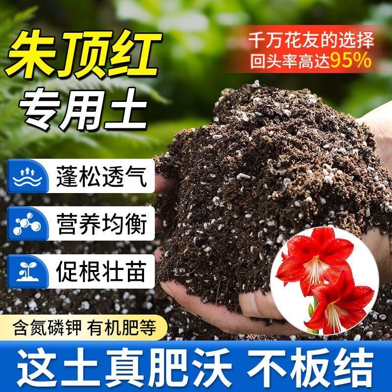 朱顶红专用营养土盆栽种植土壤有机土种花土养花土绿萝多肉土肥料