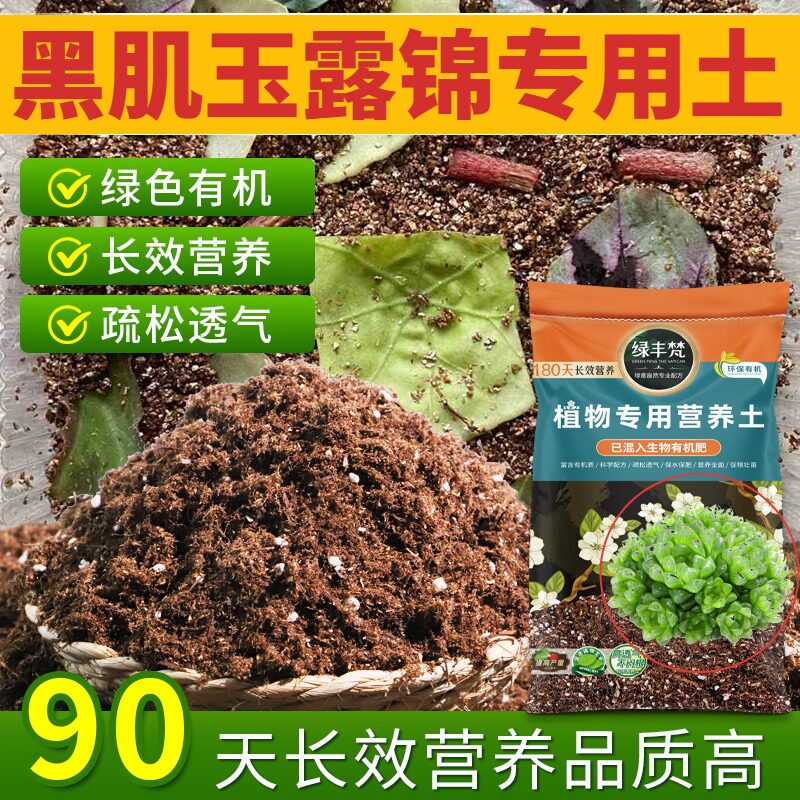 黑肌玉露锦专用种植土营养土洁净基质缓冲肥效开袋即用多肉