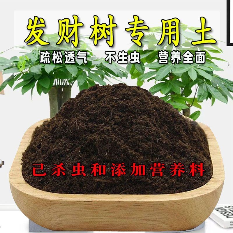 发财树专用土发财树营养土盆栽养花种植土花泥土肥料通用种花土壤