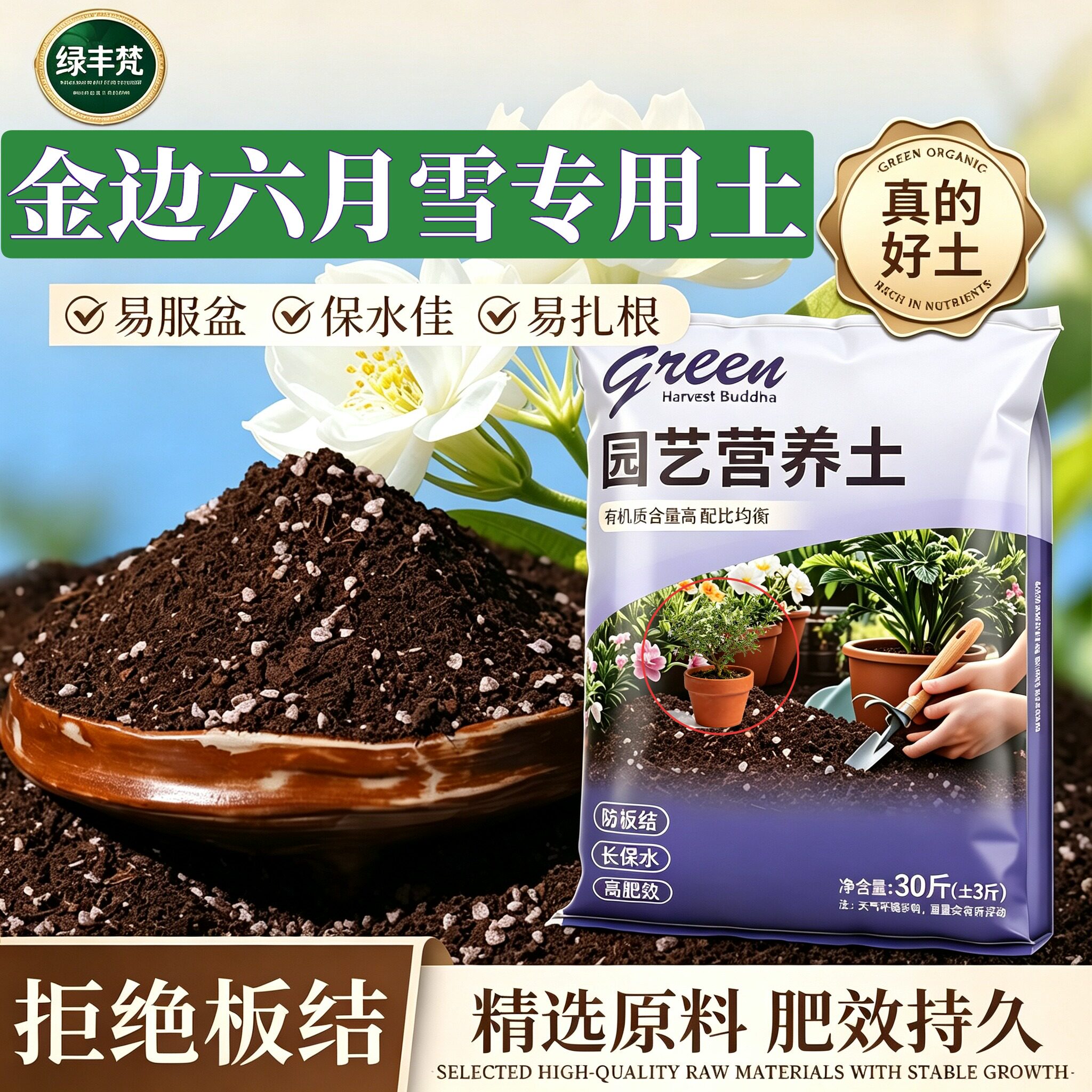 金边六月雪专用腐叶土疏松透气花园大包优质增色观花育苗不烂根