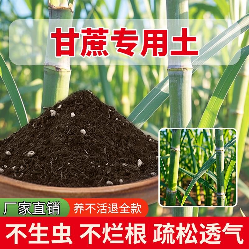 甘蔗专用土黑土通用型盆栽专用土水果天然植物肥料蓬松室内蔬果