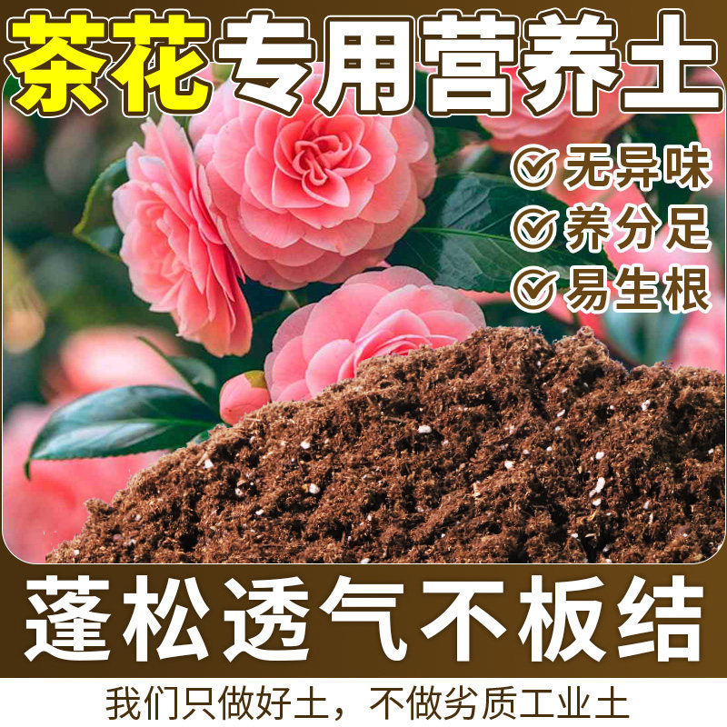 茶花专用泥炭土不烧根不烧苗盆栽土腐熟充分平衡土质开袋即用木本