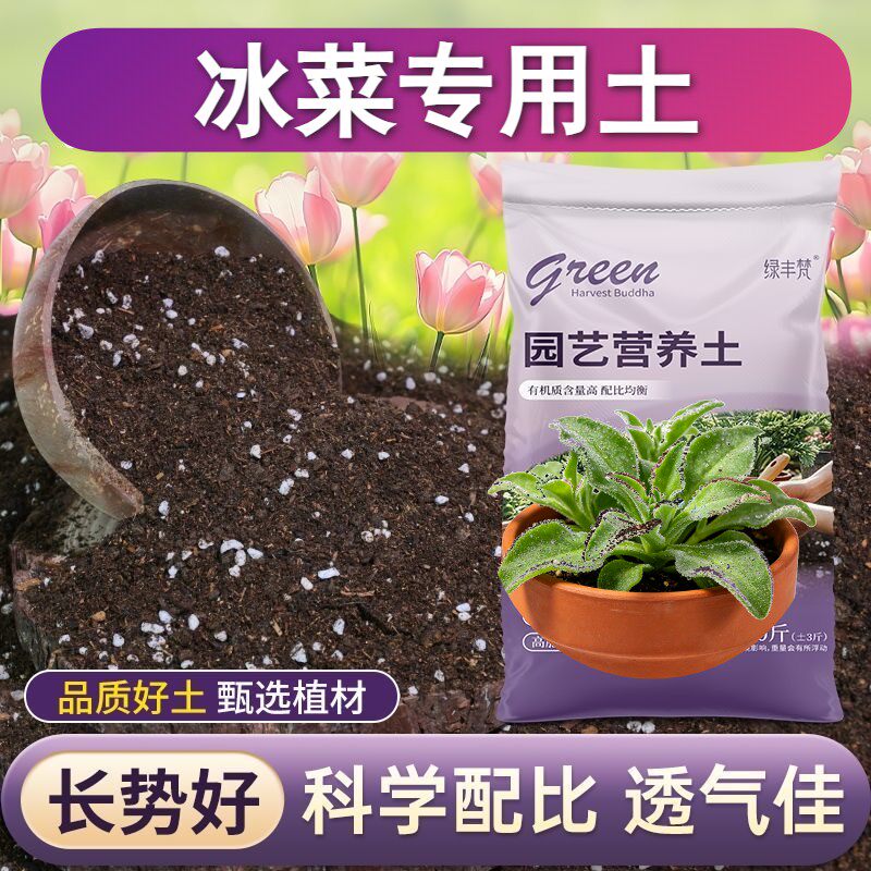 冰菜适用含泥炭根壮苗好园艺泥炭基质精选增色喜酸基质进口泥炭土