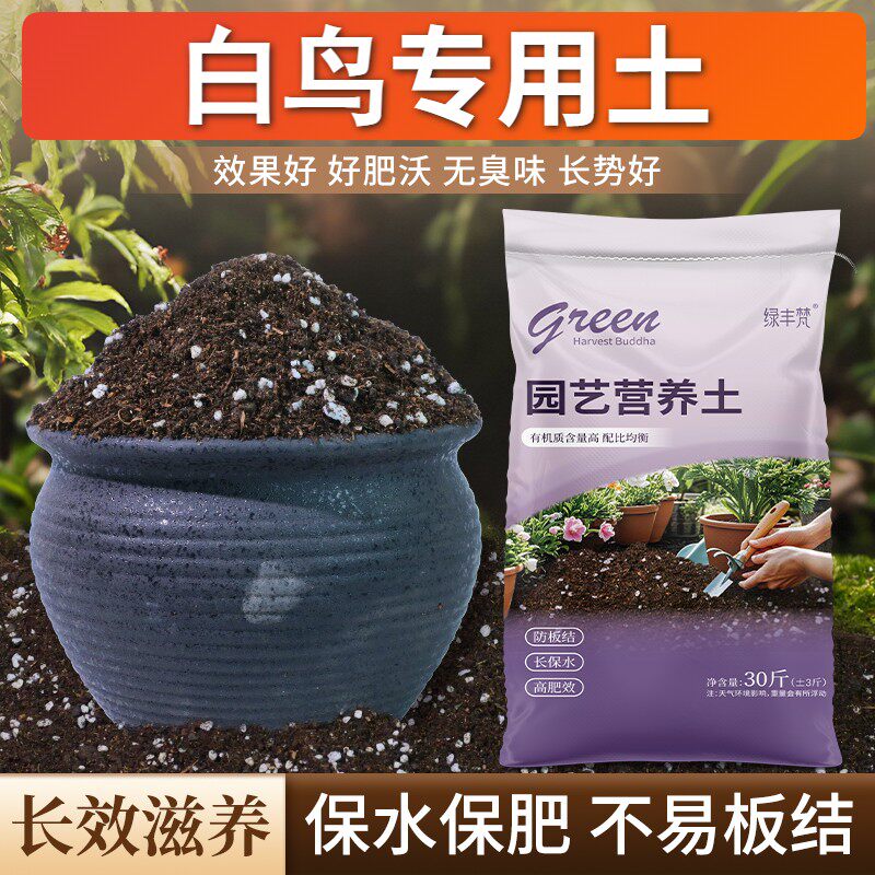 白鸟专用泥炭土疏松透气花园加牛粪无菌防徒长观叶轻质土园艺育苗图片