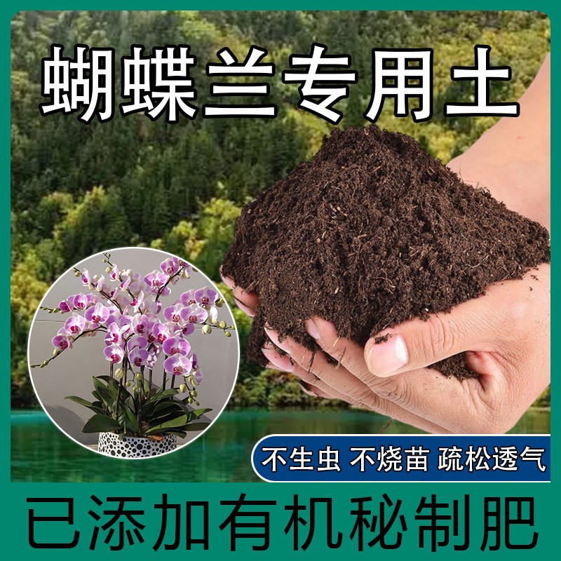 蝴蝶兰专用土肥料胡蝶兰盆栽营养土室内种植土透气通用型阳台花土