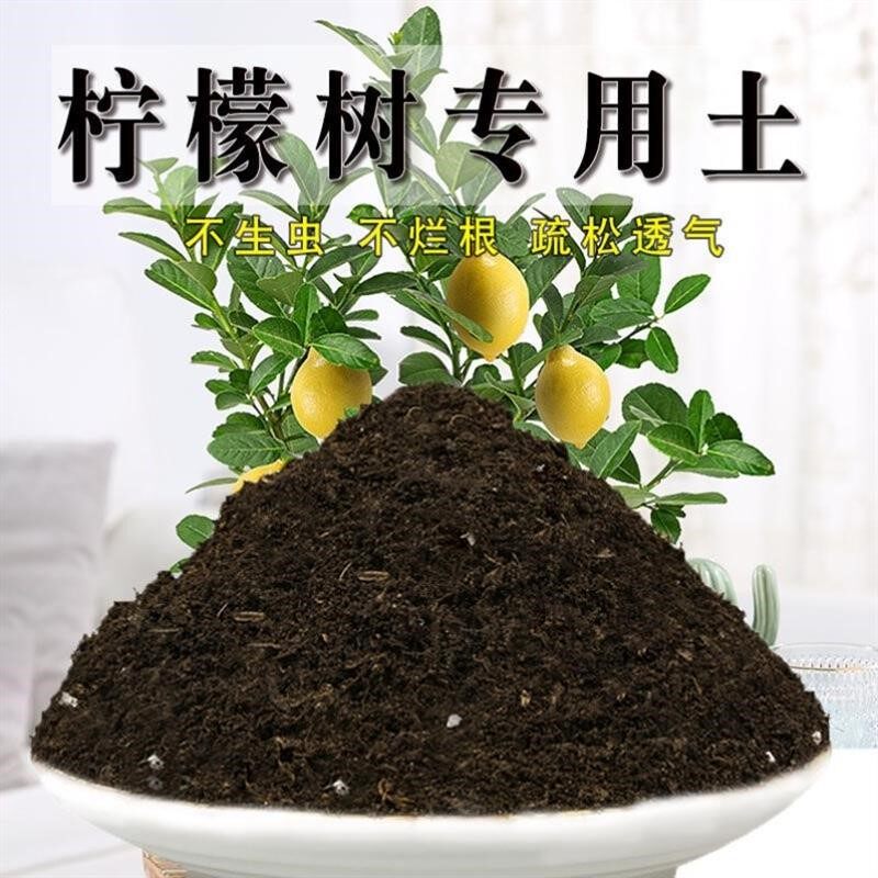 柠檬树专用土营养土壤通用家用养花土种花绿植弱酸性沙种植土肥料图片