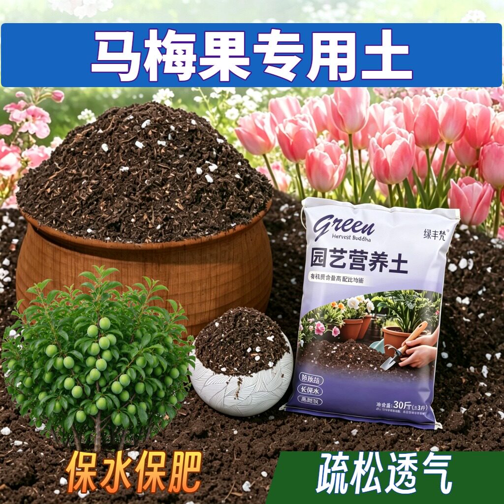 马梅果适用栽培土保水锁肥疏松透气室内加深生根粉优质壮根多肉