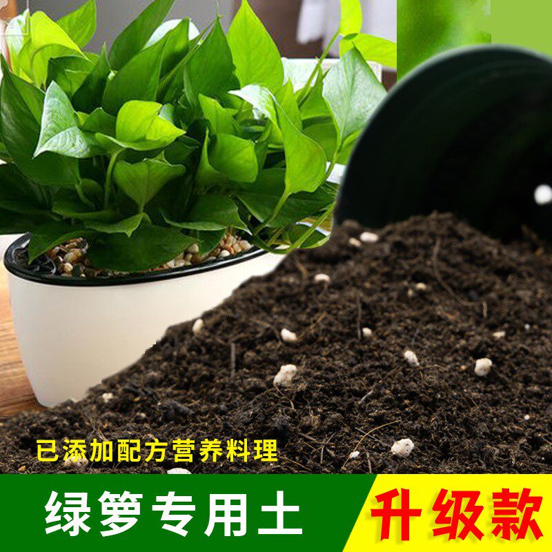 绿箩专用土家用种植土壤透气阳台盆栽种花养花绿箩营养土有机土
