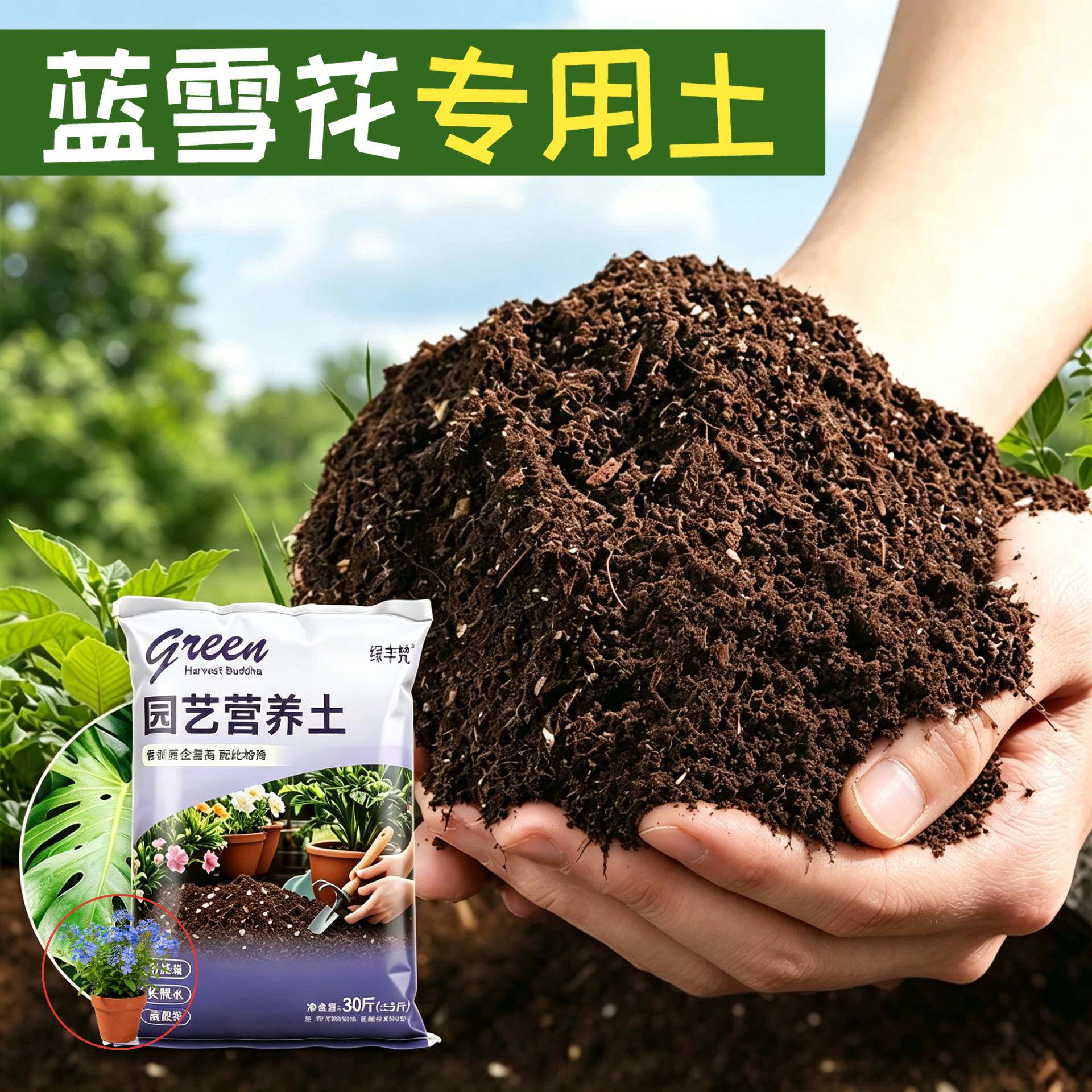 蓝雪花专用有机土防烂根高温灭菌育苗加牛粪进口促生长木本营养土