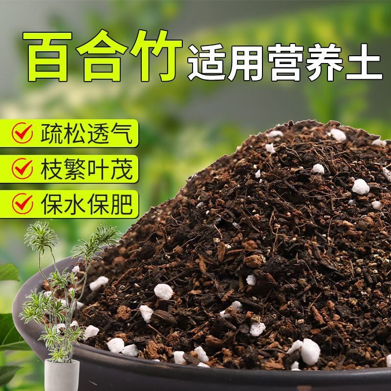 【百合竹专用土】疏松透气盆栽绿植专用室内植物有机营养土肥料图片