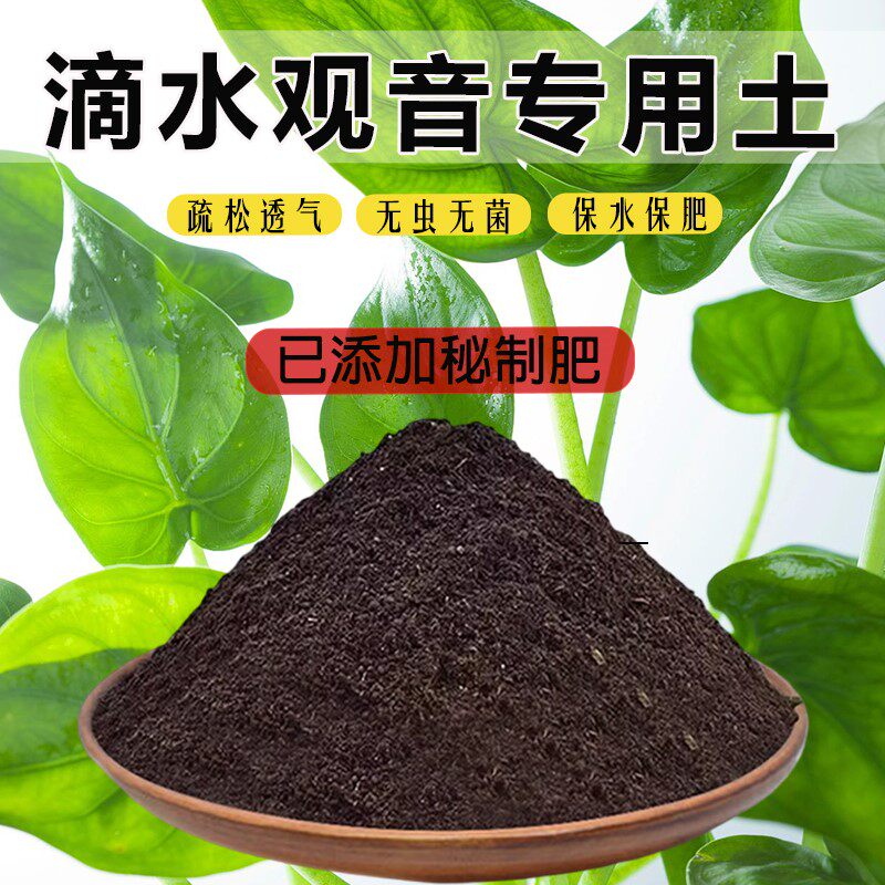 滴水观音专用土泥土滴水观音营养土盆栽土栽培土透气种花土种植土