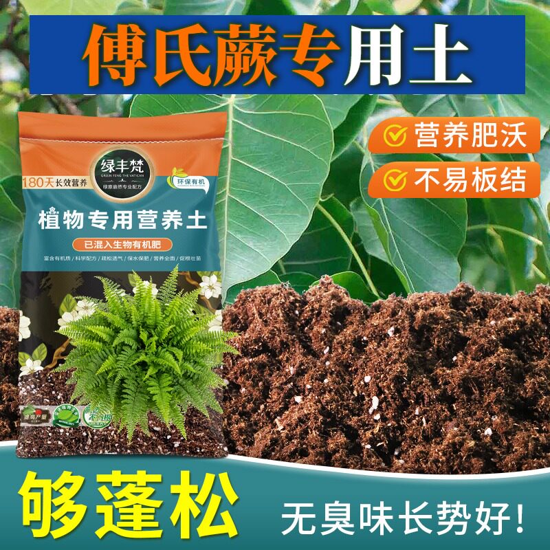 傅氏蕨适用配方土疏松多孔育苗种植土原料甄选提升排水无草籽喜酸