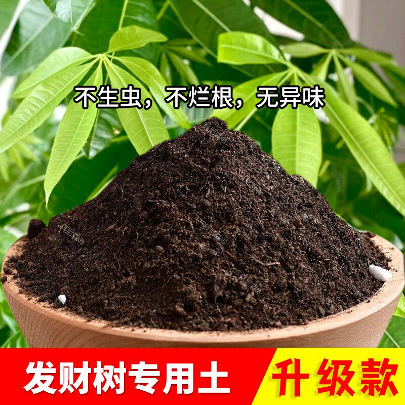 发财树专用土栽培土通用型发财树专用营养土泥土花肥土育苗花土