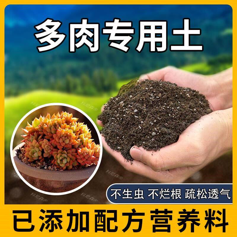 多肉专用土鲜花土壤多肉专用肥种植黑土天然绿植家庭养花花盆肥料