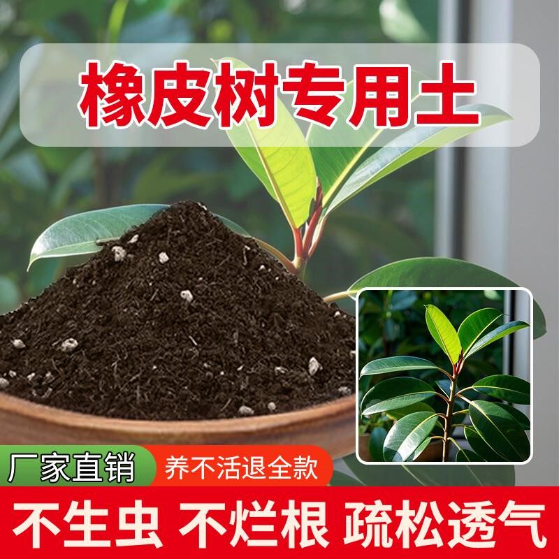 橡皮树专用土盆栽栽培土绿植种菜土室内养花专用土土壤肥料花肥