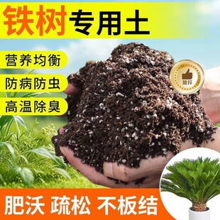 铁树专用土营养土盆栽种植土壤种花土养花土绿萝育苗土兰花土肥料