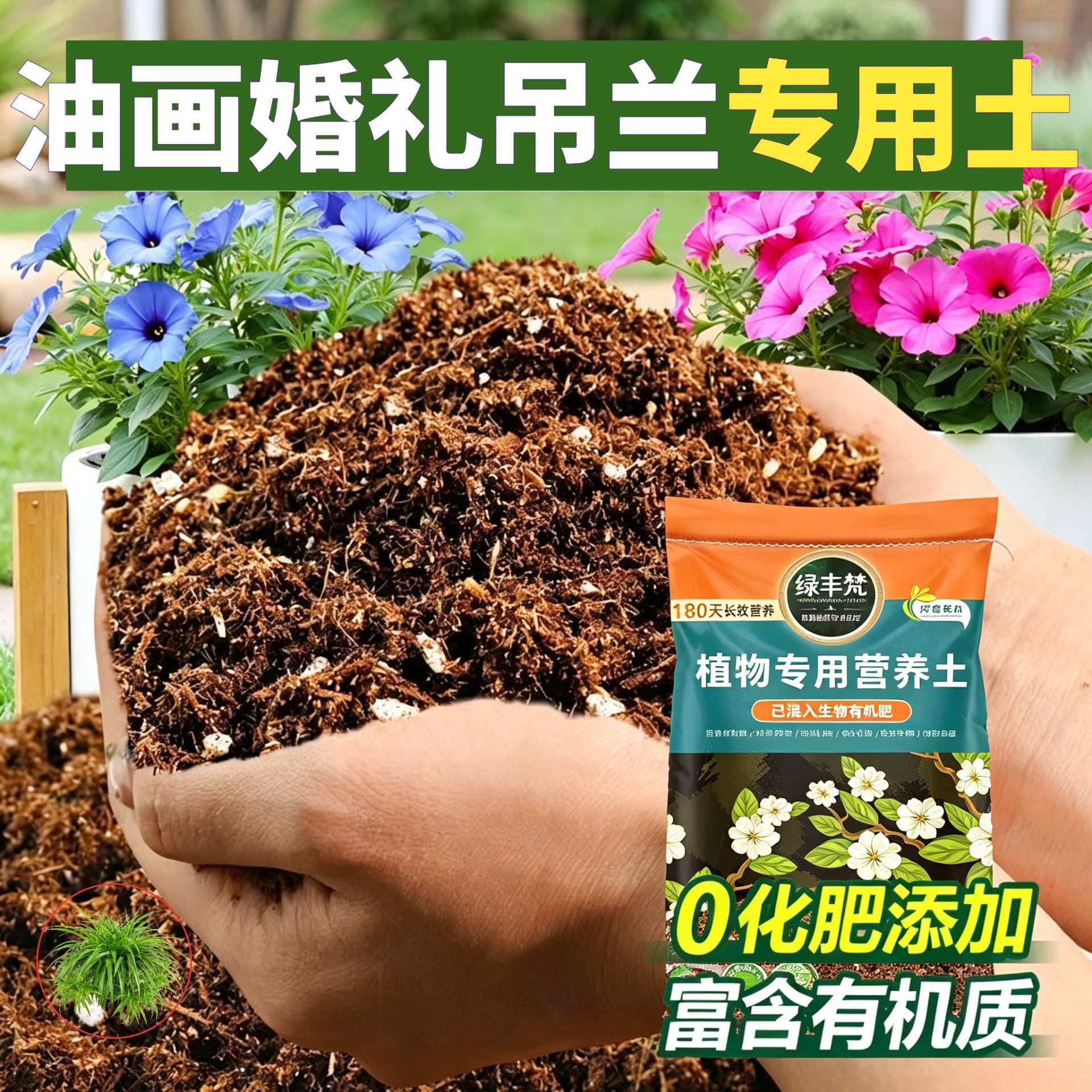 油画婚礼吊兰适用腐殖土盆栽土天然原料优化根际试用装多肉