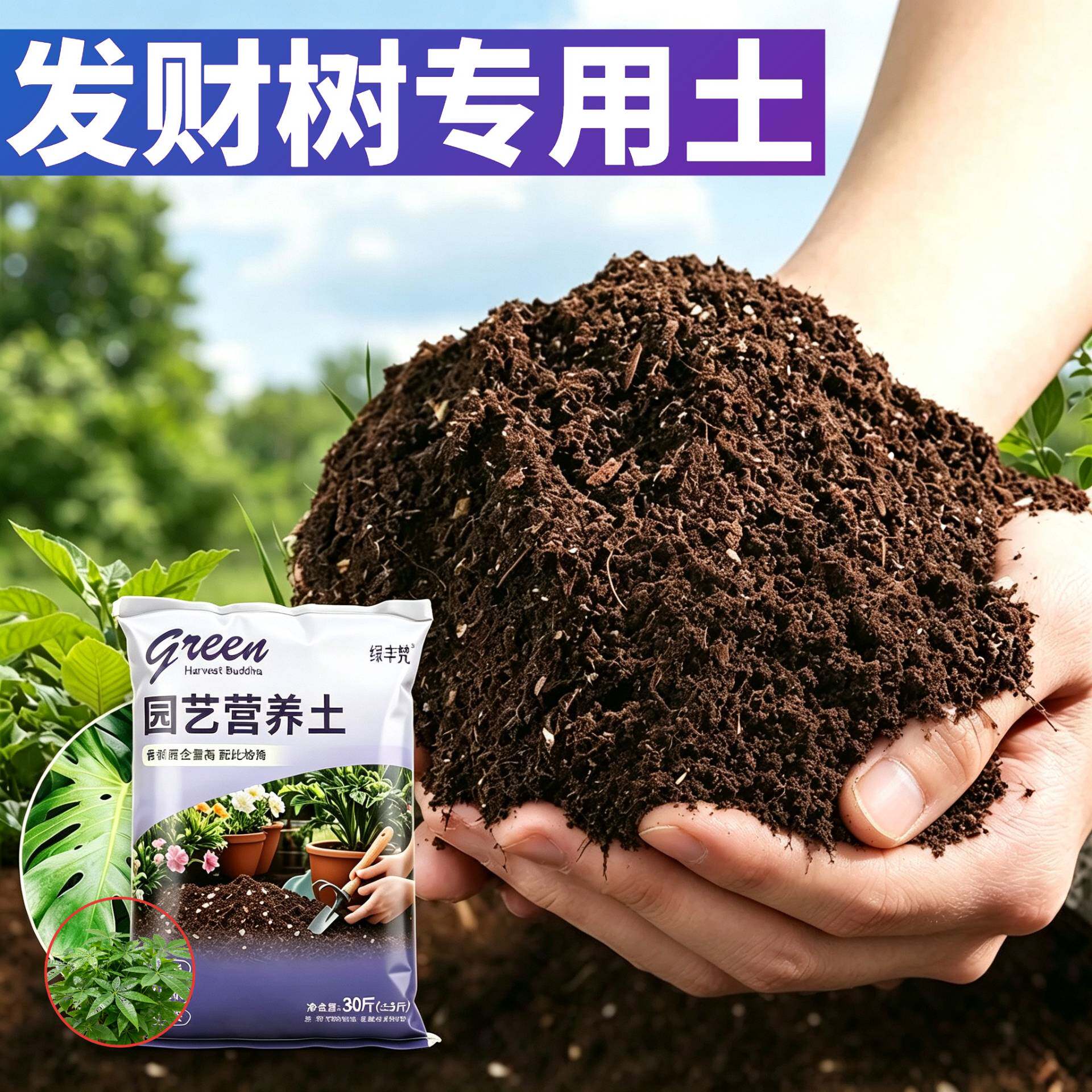 发财树适用种菜土加珍珠岩保水保肥阳台包邮天然防徒长木本轻质土