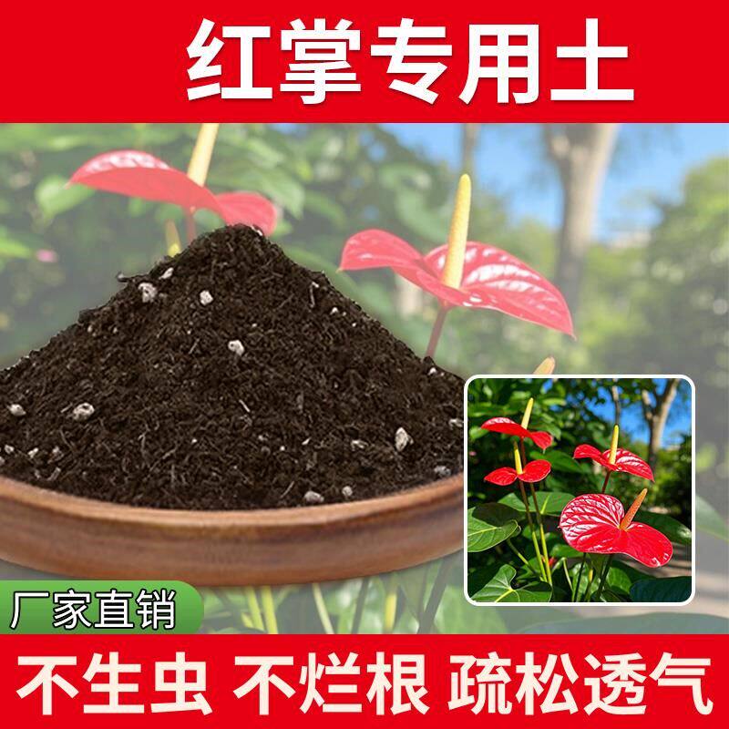 红掌专用土土壤天然盆栽土壤花盆花肥室内养花专用土植物家庭家用