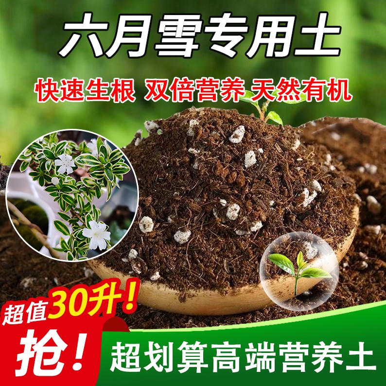六月雪专用轻质基质土不板结疏松透气屋顶嫁接种植土进口喜酸有机