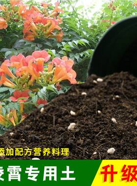凌霄专用土凌霄营养土有机土肥料家用种植土盆栽种花养花泥土包邮