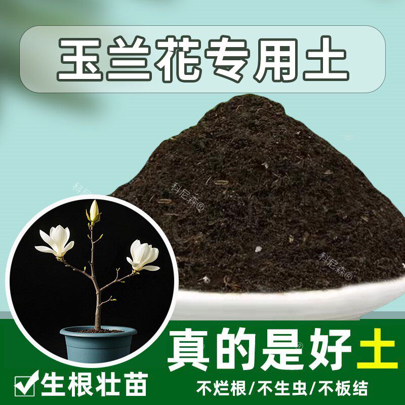 玉兰花专用土盆栽土玉兰花专用营养土椰砖土种植土养花土透气家用