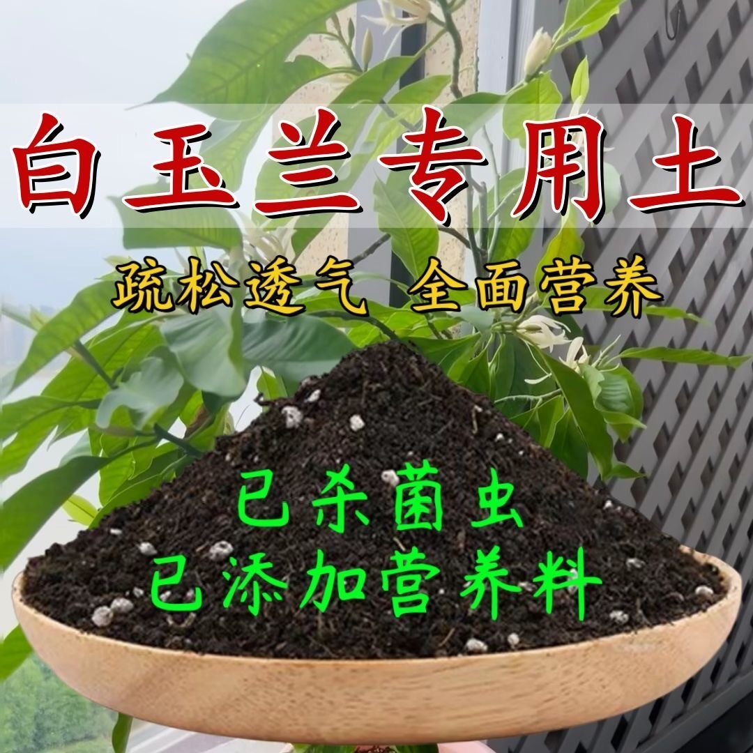 白兰花专用土黄角兰土阳台盆栽营养土酸性沙质土壤绿植种植土肥料