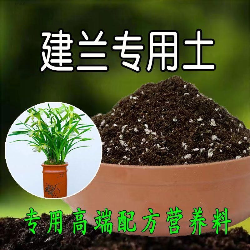 建兰专用土墨兰寒兰报岁兰土国兰兰花通用型营养土酸性有机腐殖土