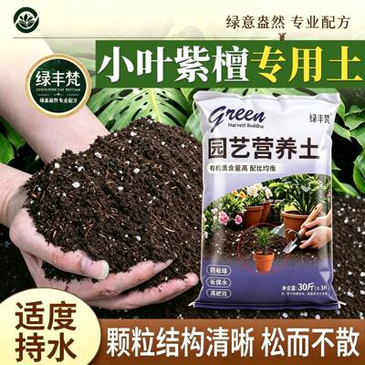 小叶紫檀专用泥炭土保水锁肥阳台泥炭基质进口防黄叶喜酸绿叶盆景